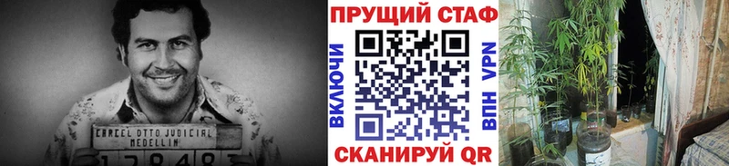 Наркотические вещества Бологое Марихуана Cocaine MEGA ссылки ГАШИШ
