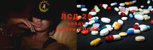 стаф Михайловск