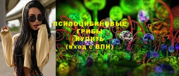 СК Медвежьегорск