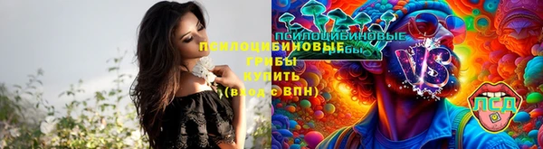 стаф Михайловск