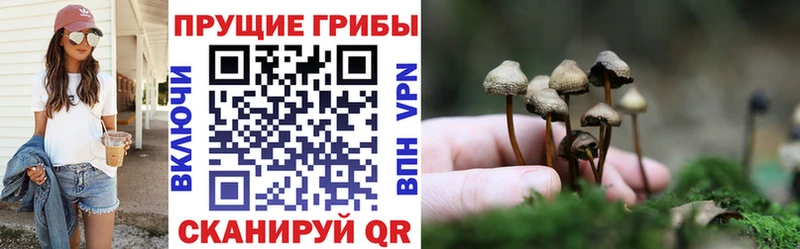Галлюциногенные грибы GOLDEN TEACHER  ОМГ ОМГ   Бологое 